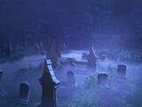The Undertaker's Graveyard (CJDM1999)