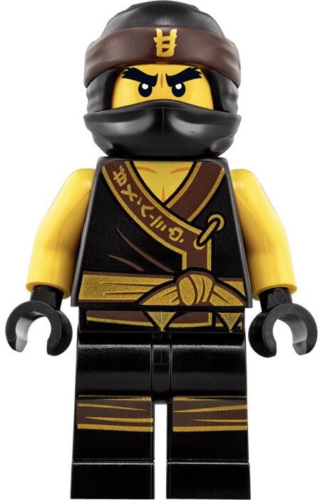 Cole The LEGO Ninjago Movie iNinjago LEGO Dimensions Customs