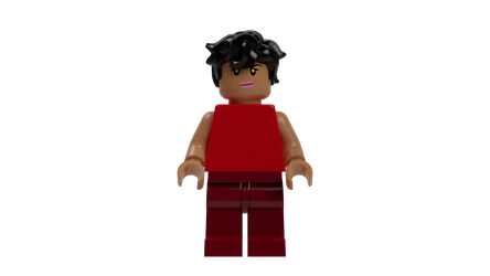 Lego catra