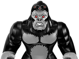 Gorilla Grodd (CJDM1999)