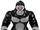 Gorilla Grodd (CJDM1999)