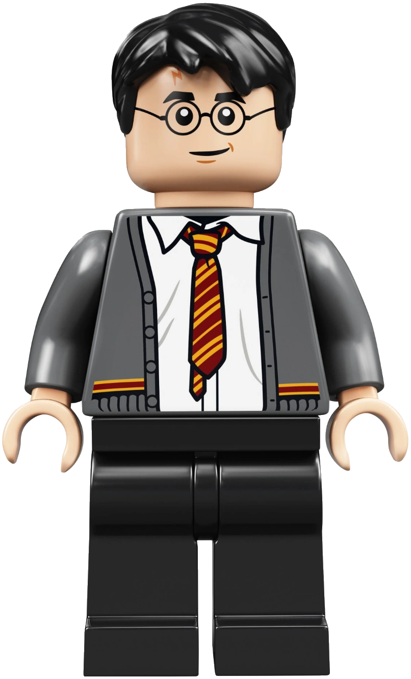 Harry Potter (CJDM1999) | LEGO Dimensions Customs Community | Fandom