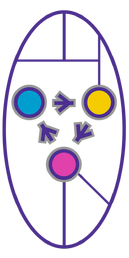 Shift.png