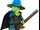 Wicked Witch of the West (The LEGO Batman Movie)