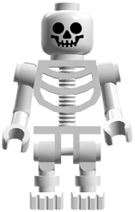 Skeleton