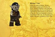 Mordor Orc Info