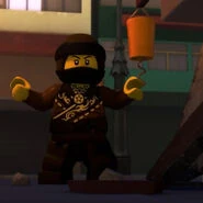 Dareth Staffel 9.jpg (6 KB) Dareth als „Brauner Ninja“