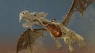 Wus Elementardrache