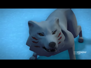 Screenshot 20191014-103858.png (774 KB)