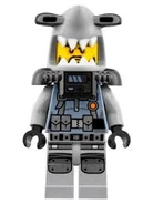 70610Fig2.jpg (6 KB)