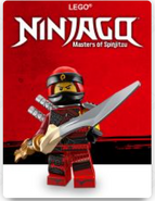 Ninja9
