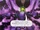 Schatten-Roboter