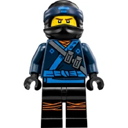 70610Fig1.jpg (86 KB)