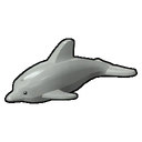 Icon Creature Dolphin.png