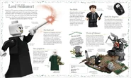 Lego-harry-potter-book-2.jpg (110 KB)