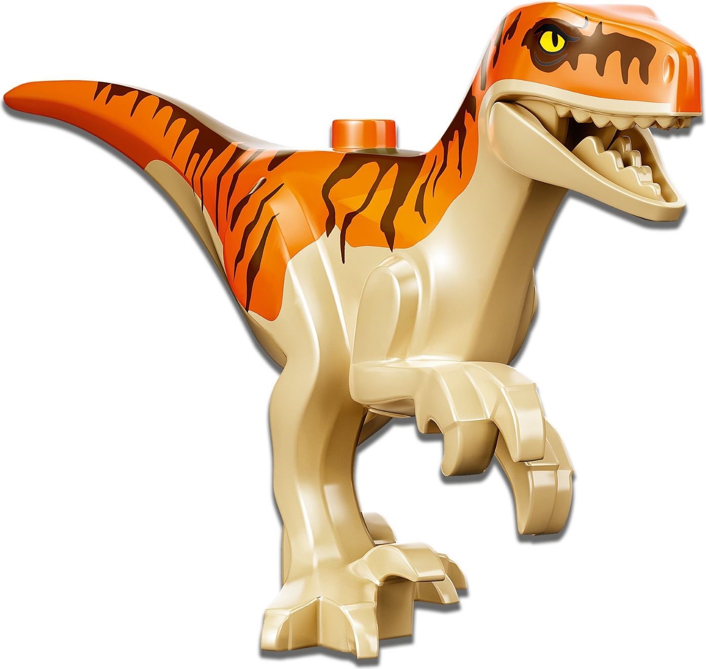 u r n❁ Amazon.com: LEGO Jurassic World T. rex & Atrociraptor