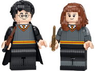 76393 Harry Potter et Hermione Granger