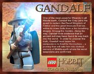 Gandalf Description