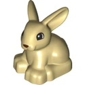 Lapin