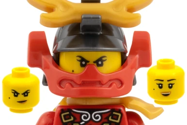 71216 Ninjago Nya Fun Pack | Brickipedia | Fandom