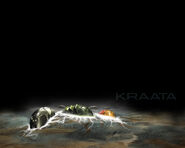 Kraata 1280x1024