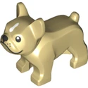 Bouledogue français beige (2017)