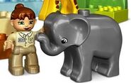 A Zoo Keeper with an Elephant