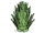 10112 Bush