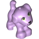 Chien coloré (2020)