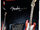 21329 Fender Stratocaster