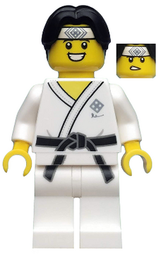 Lego karate master store