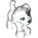 Dalmatien, Cookie (2020)