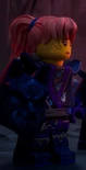 Wolf disguise Sora