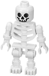 Skeleton