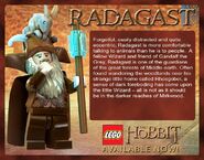 Radagast Description