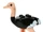 Ostrich