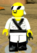 In The LEGO Ninjago Movie Video Game".