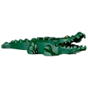 Alligator
