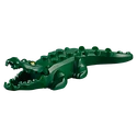 Alligator