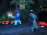 Harry and Fang in the Forbidden Forest as they follow the spiders.