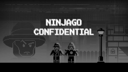 Ninjago Confidential