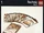 1033 Building Cards - 1032