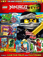 LEGO Ninjago 9