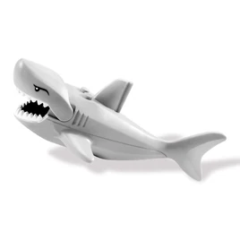 Requin-6243