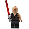 Anakin Skywalker-8096.jpg (18 kio) Épisode III, blessé (2010) 8096