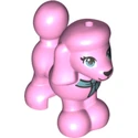Caniche coloré (2020)