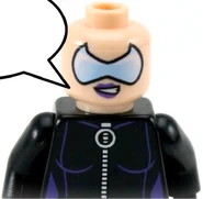 Catwoman mask off.png (316 KB)