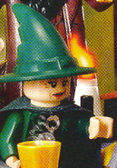 McGonagall on the cover on the Fall 2010 catalog