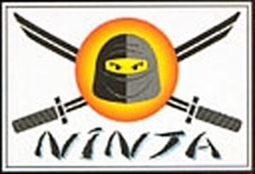 Ninja Brickipedia Fandom