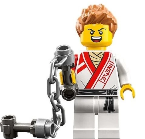 みーこ Creative Ninja Brick Box 71787 | NINJAGO® | Buy online at the